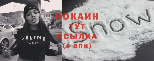 гидра Инта