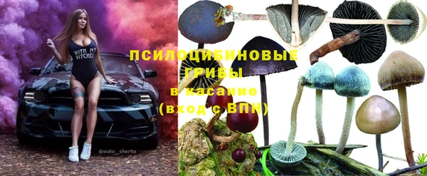скорость Арсеньев