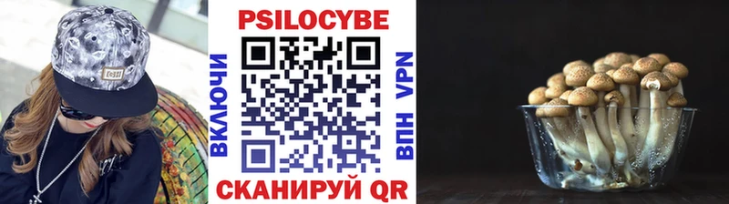 omg   Спасск-Дальний  Псилоцибиновые грибы GOLDEN TEACHER 